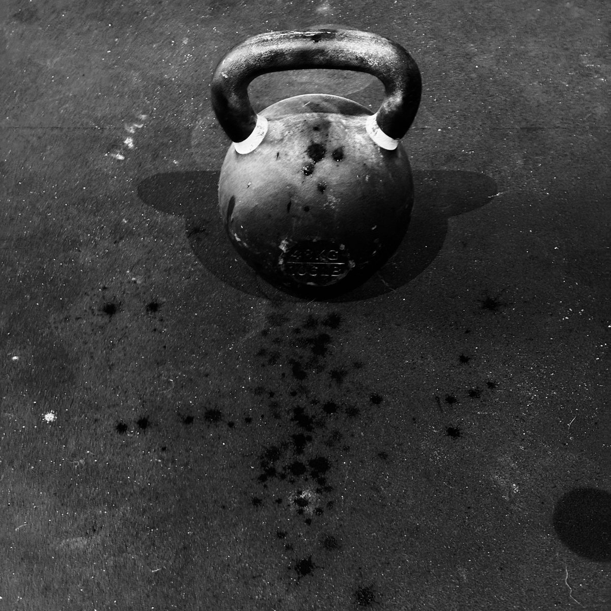 Jocko Willink tweet media