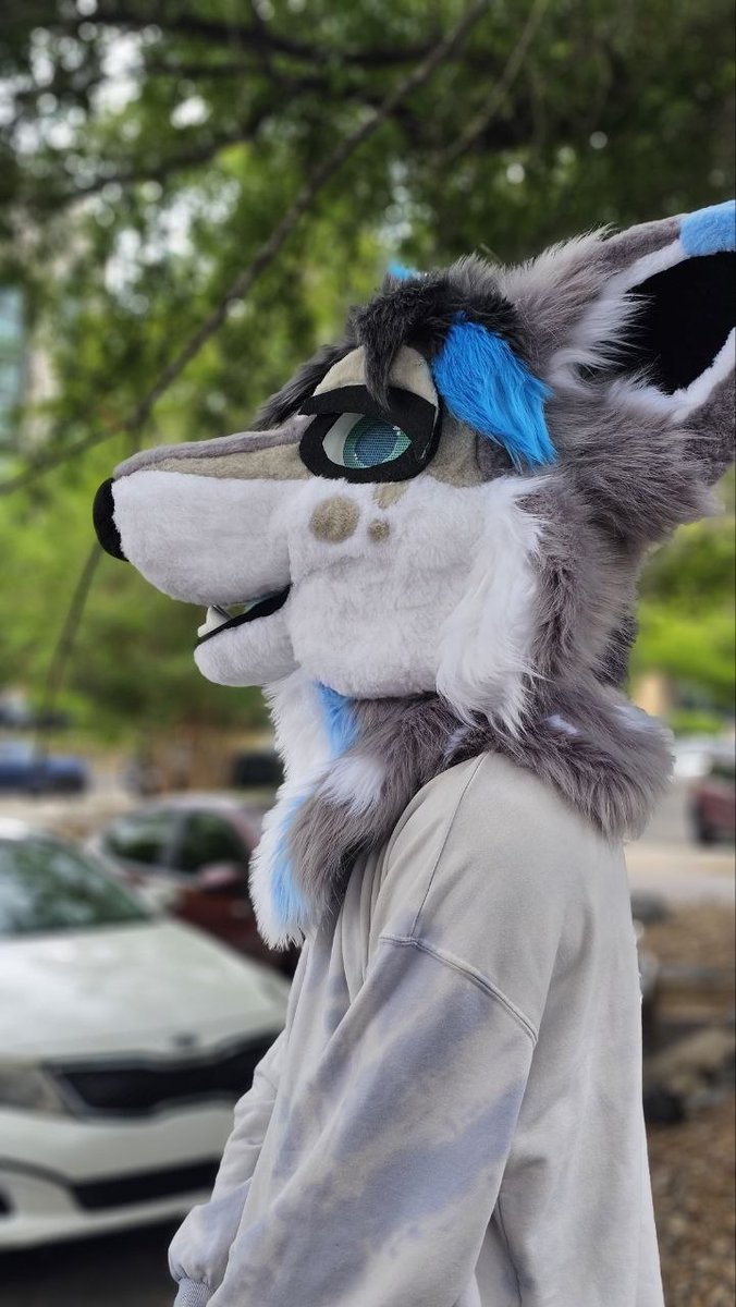 Kloud9Suits's tweet photo. Almost forgot to show!!!!
Blizzard the deer-fox is finished 💙🦊🦌
•
•
•
~~~~~~~~~~~~~
#fursuit #fursuitmaker #fursuitcommission #fursuitcommissionsopen https://t.co/5VxNghQ3Kc