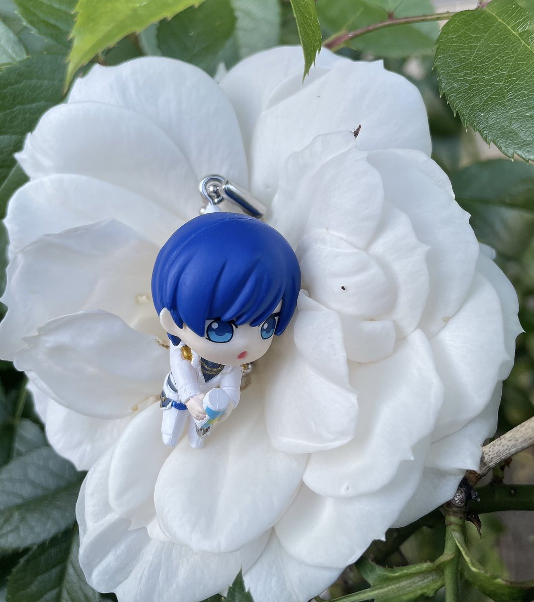 ひろ🎲🤪💙 tweet media