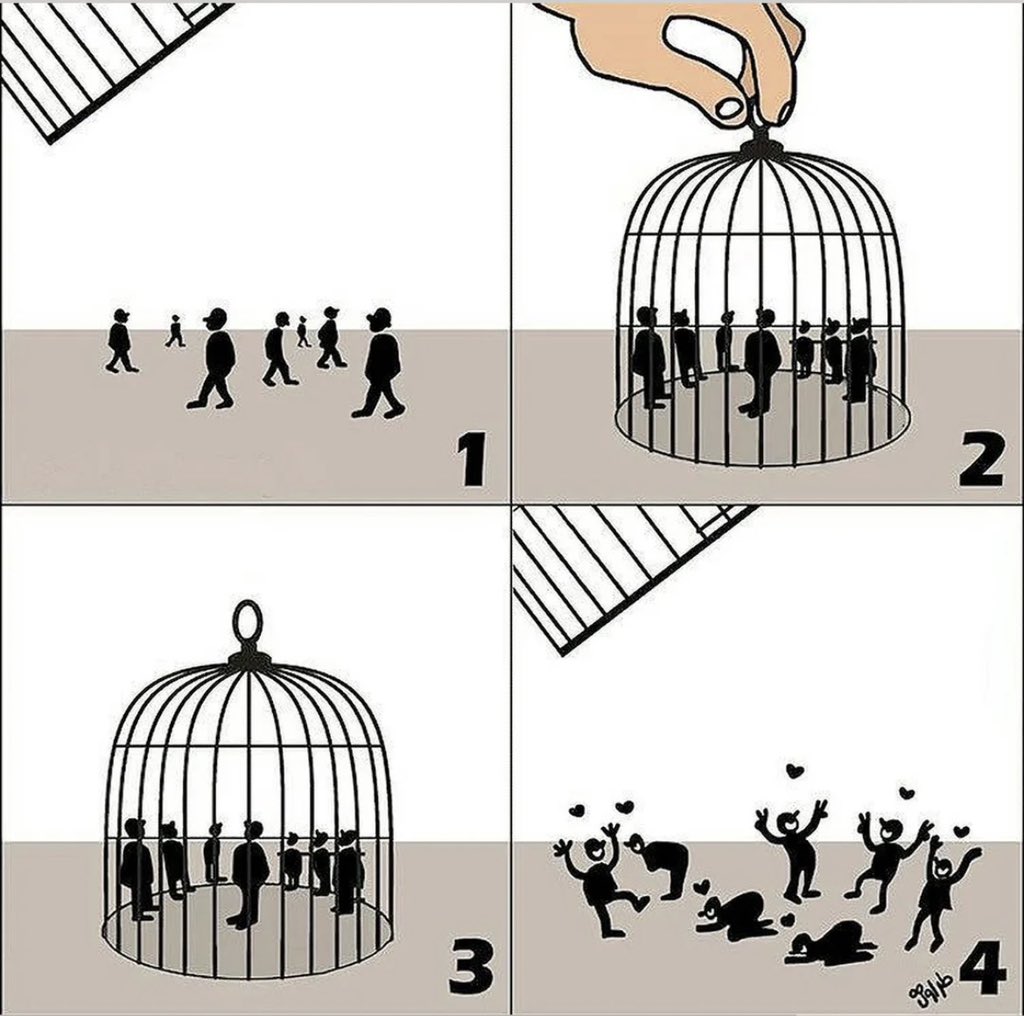 Farid tweet media