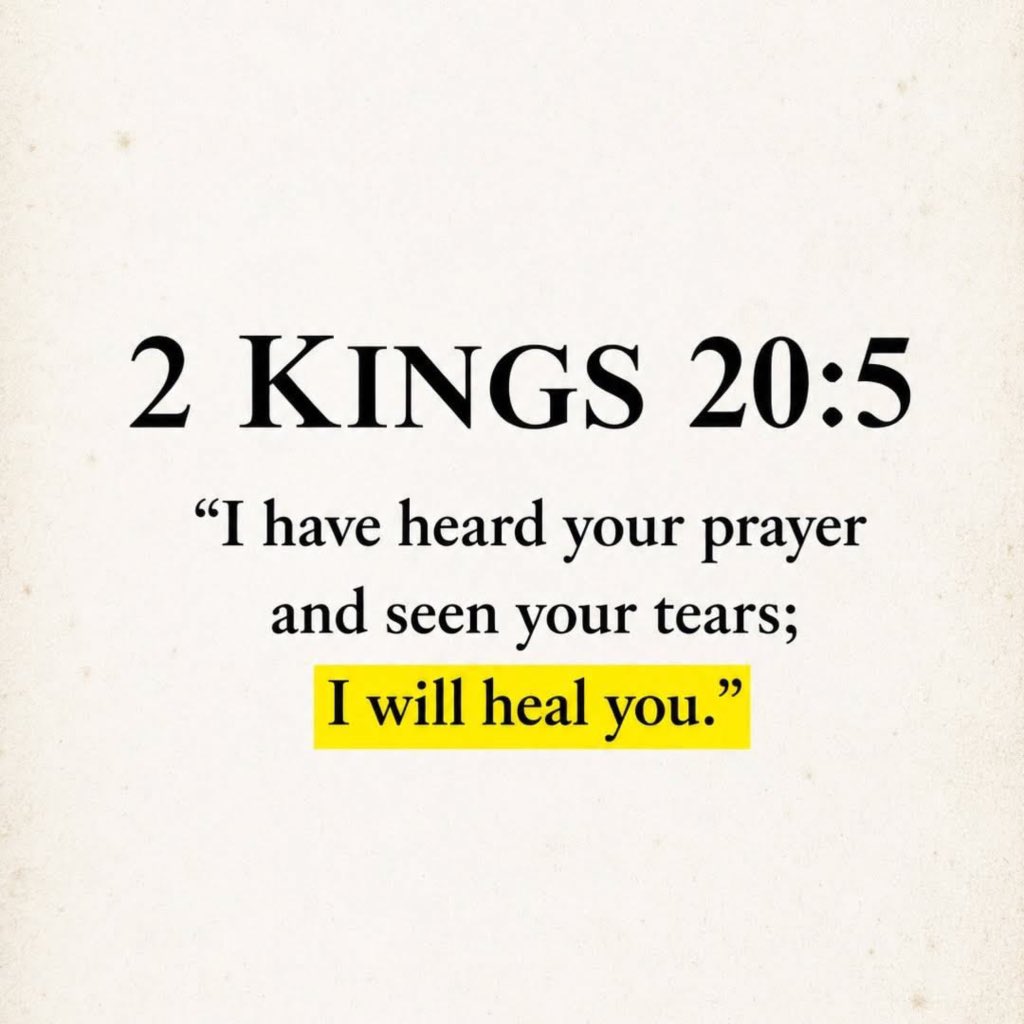 Holy Bible tweet media