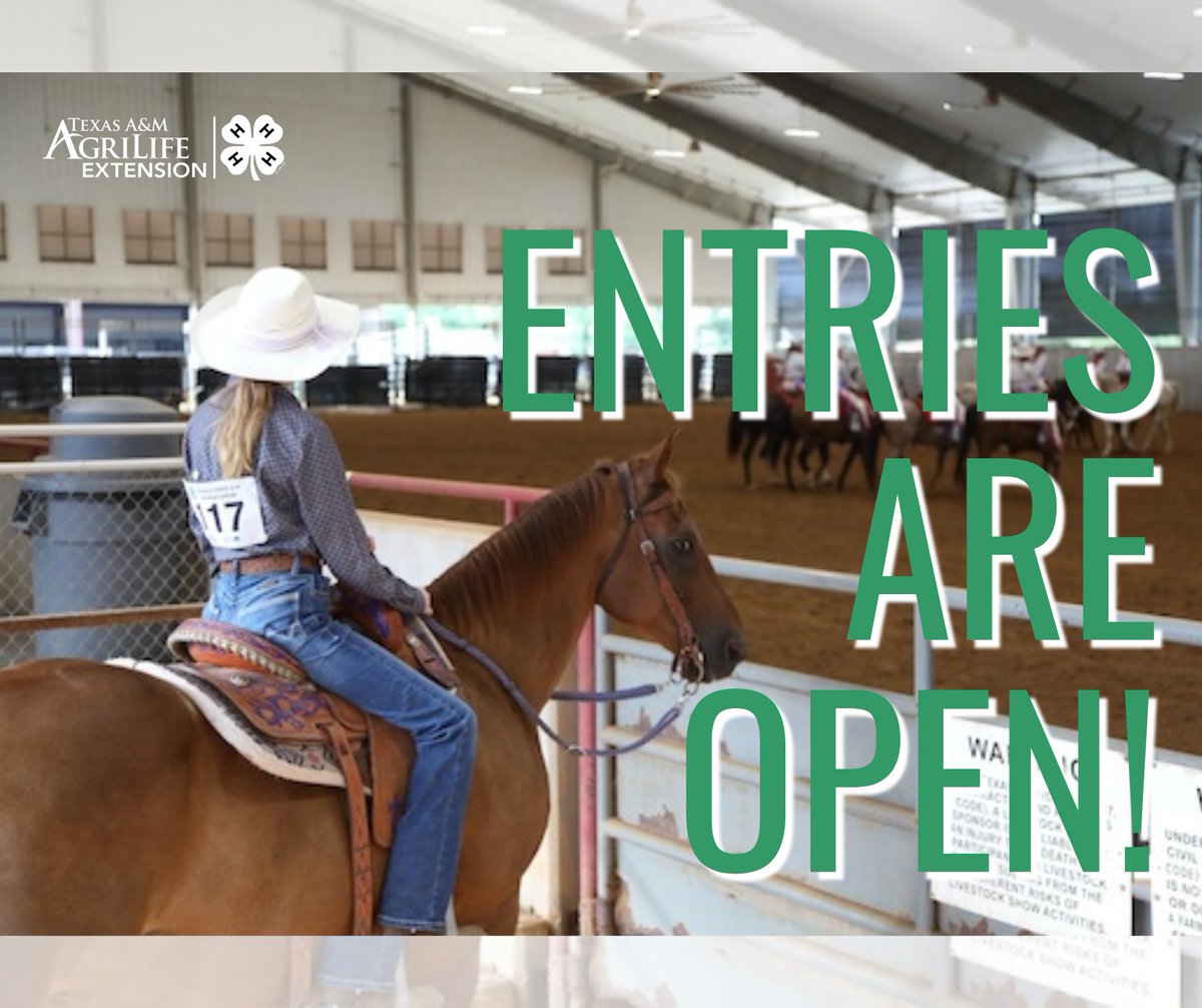 Texas4H's tweet photo. Entries are open for the 2026 State 4-H Horse Show! Enter now in Texas Show Pass through midnight on July 1, 2026.
Texas Show Pass: https://t.co/6ajK64zytR https://t.co/bBOYI8VZw8