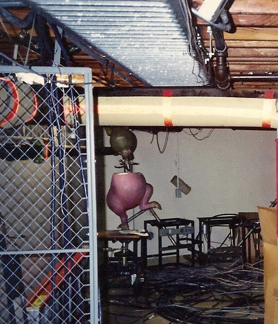 SplashMHS's tweet photo. Fun fact! The spinning pig from America Sings was briefly installed in Splash Mountain during testing. It was intended for the "Laughing Place" scene. The animatronic would be replaced and scrapped before the rides official opening, with the reason why being unknown to this day! https://t.co/wcSLBK0ShW