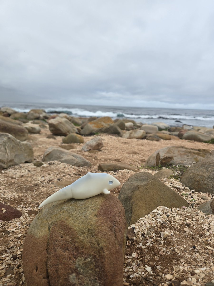 AresCheese's tweet photo. #gavadon having lots of fun today visiting cape point :D https://t.co/QTBKrWR9Jy