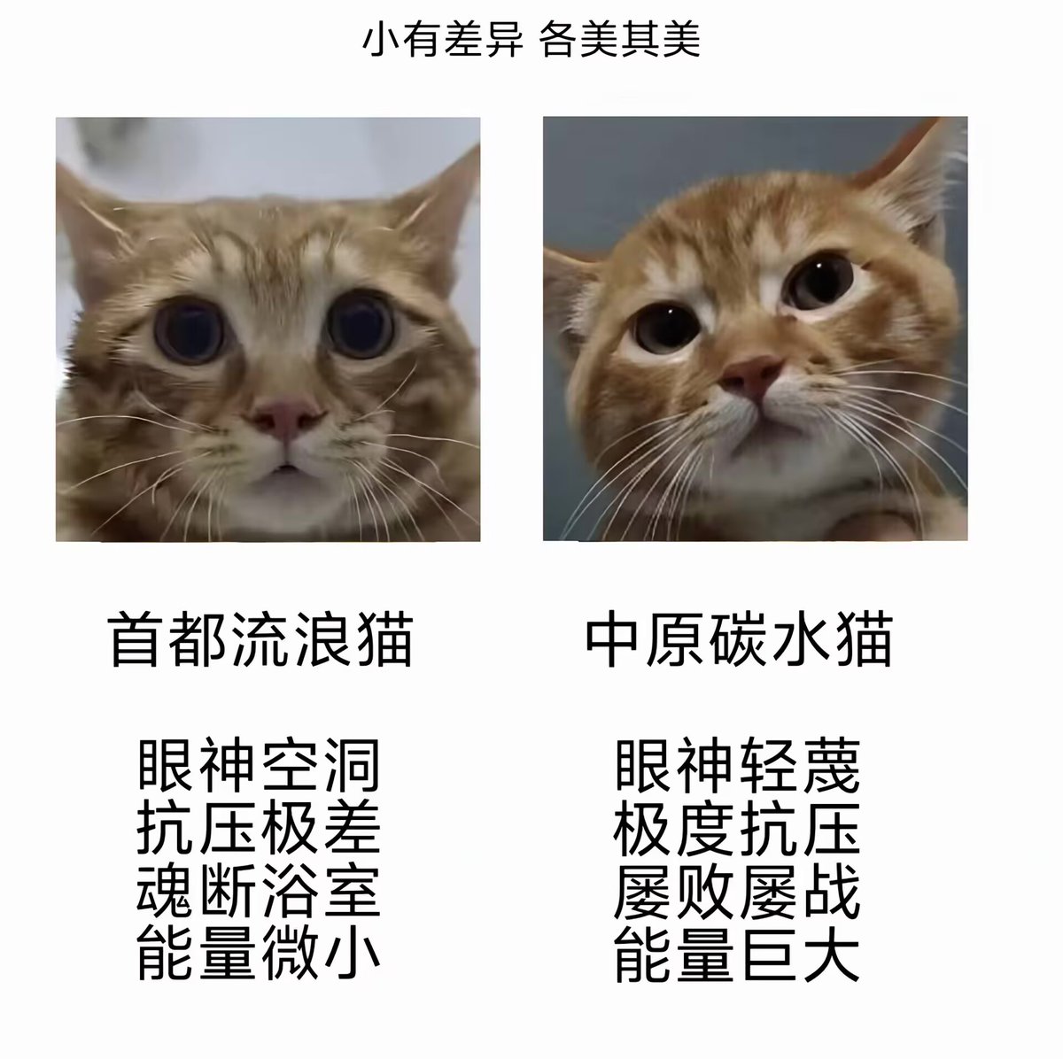搞耍潮爹🉑到付✈️ tweet media