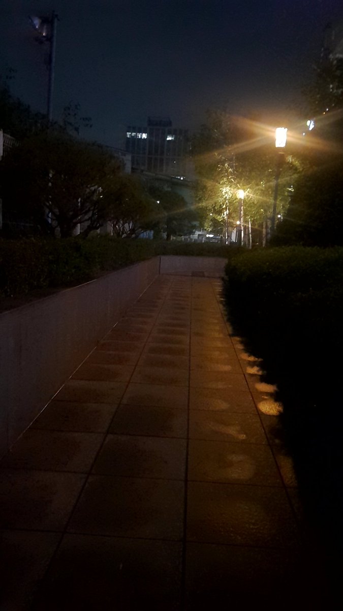 호박 tweet media