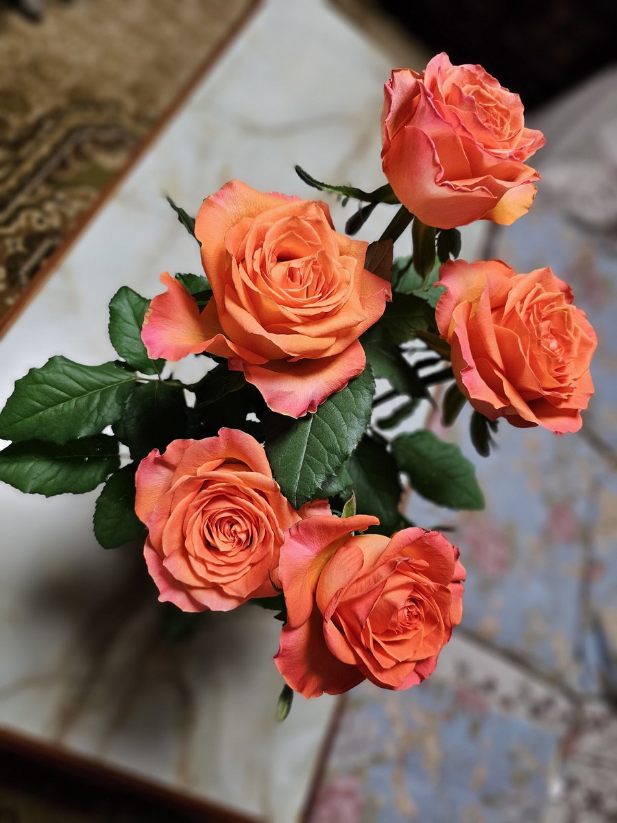 _kula_DOLL_'s tweet photo. 母が買ってきた薔薇。
展示会後の販売らしくこれで1000円とかは安い！(*´▽｀*) https://t.co/xA6eoli3vF