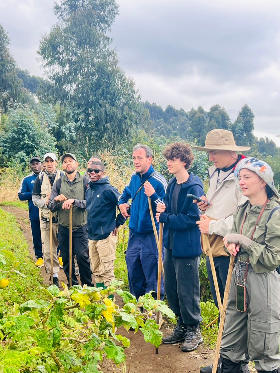 ExcitingClassic's tweet photo. Why Go on a Rwanda Safari?

Soul Stirring Gorilla &amp; Wildlife Encounters

Rwanda is home to some of the world's greatest primate tracking, situated against a setting of rolling hills, forest canopies and majestic mountain peaks.
https://t.co/6Yfn0gmt8N
Safariexciting@gmail.com https://t.co/6yIlayvmIK