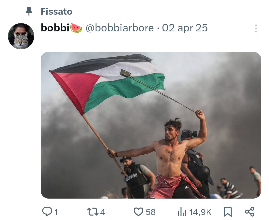 Scafy tweet media