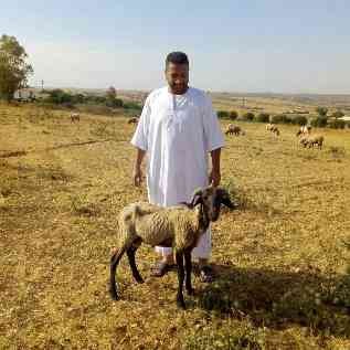 بلعيد لمݣمح tweet media