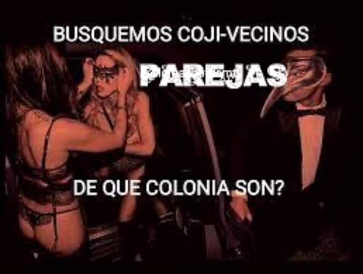 FRANCISCO JAVIER tweet media