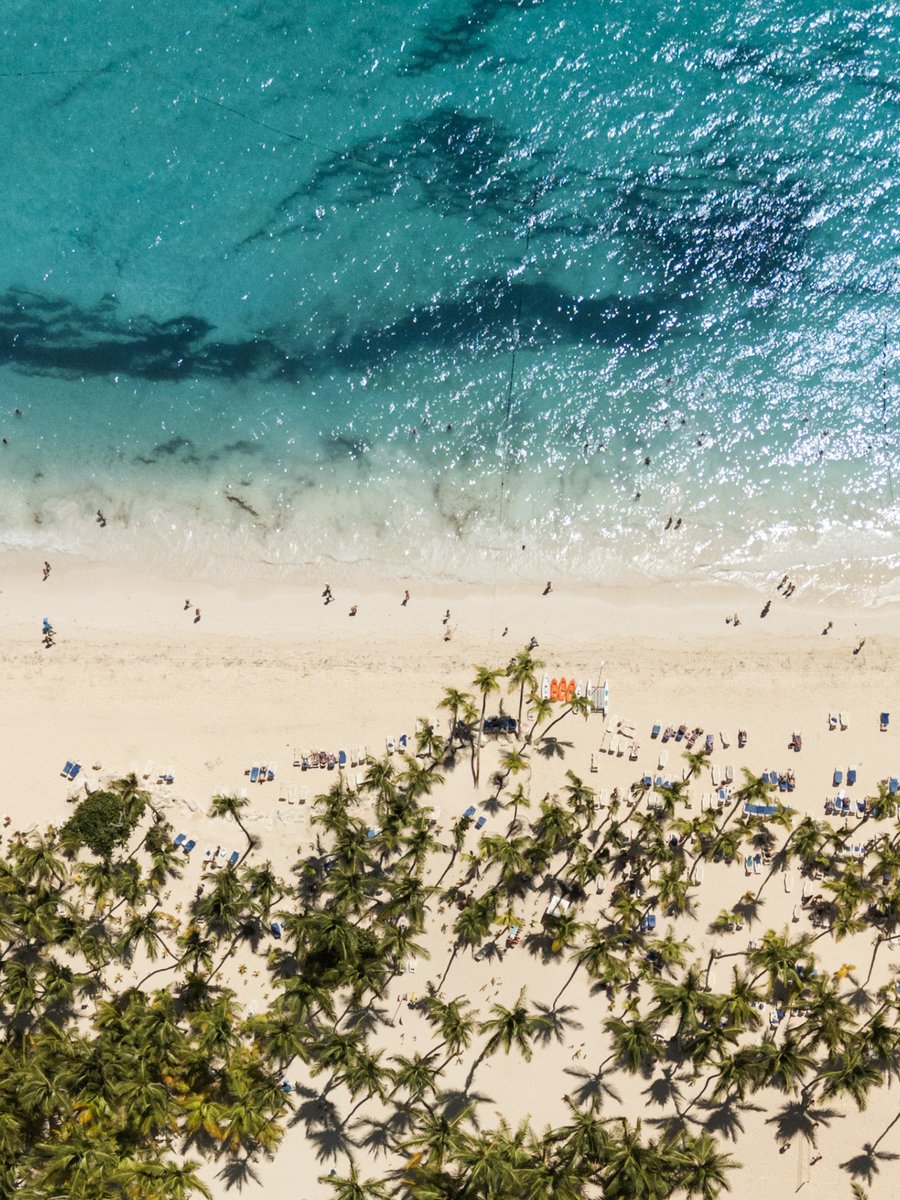 RiuHoteles's tweet photo. 🏖️ Going on a beach vacation with your bestie? https://t.co/Jtzx9GtXJC Grab a sunbed to soak up the sun and enjoy a refreshing dip in the sea 🌊

#RIUtastic https://t.co/7ogxRNTmY9