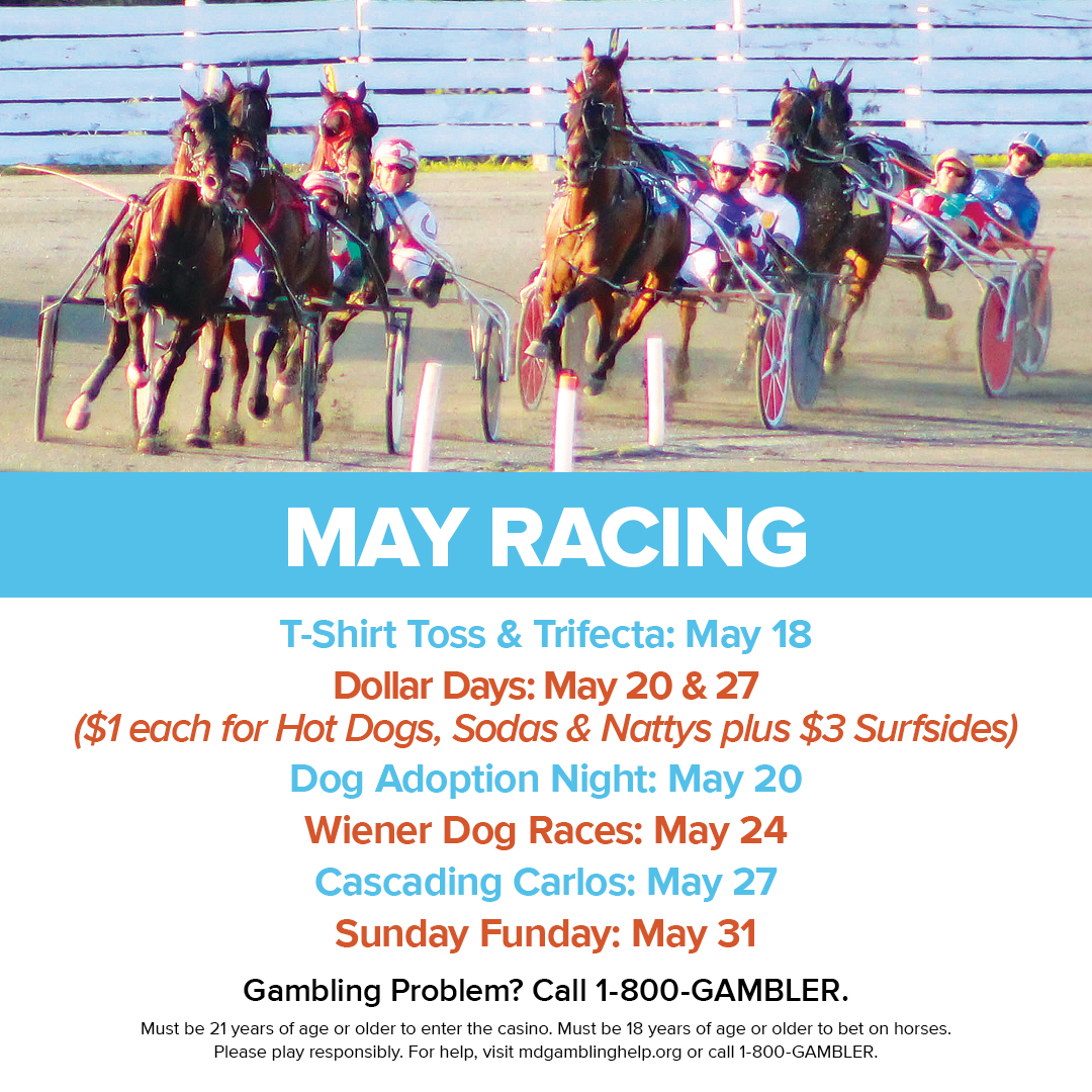 Ocean Downs Casino tweet media