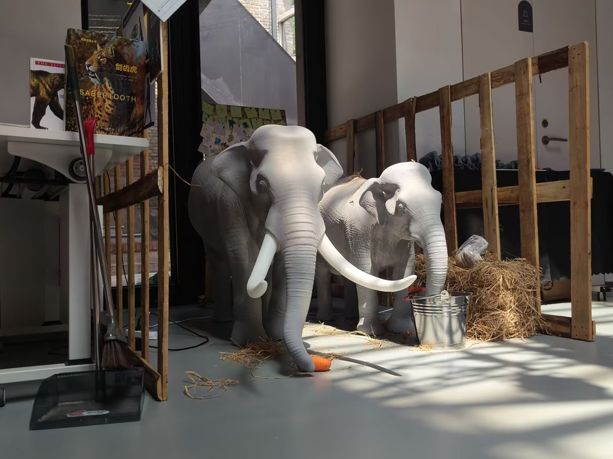 Grasher2002's tweet photo. My Graduation Exhibition! Yes, our beloved Sicilian dwarf elephant is back again.＾ｖ＾
I love seeing the shocked expressions on tourists' faces when they find out that these little dwarf are actually adults.
And the fun part is that it takes 40 years for them to grow this big. https://t.co/8kN110RIAV