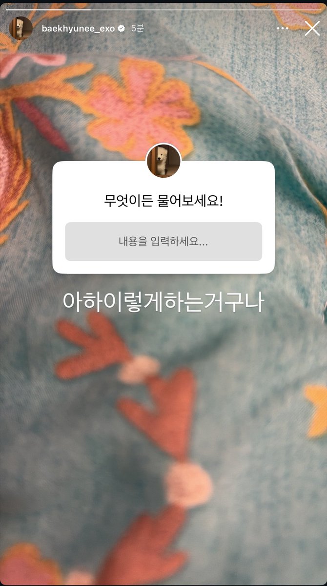랜드 tweet media