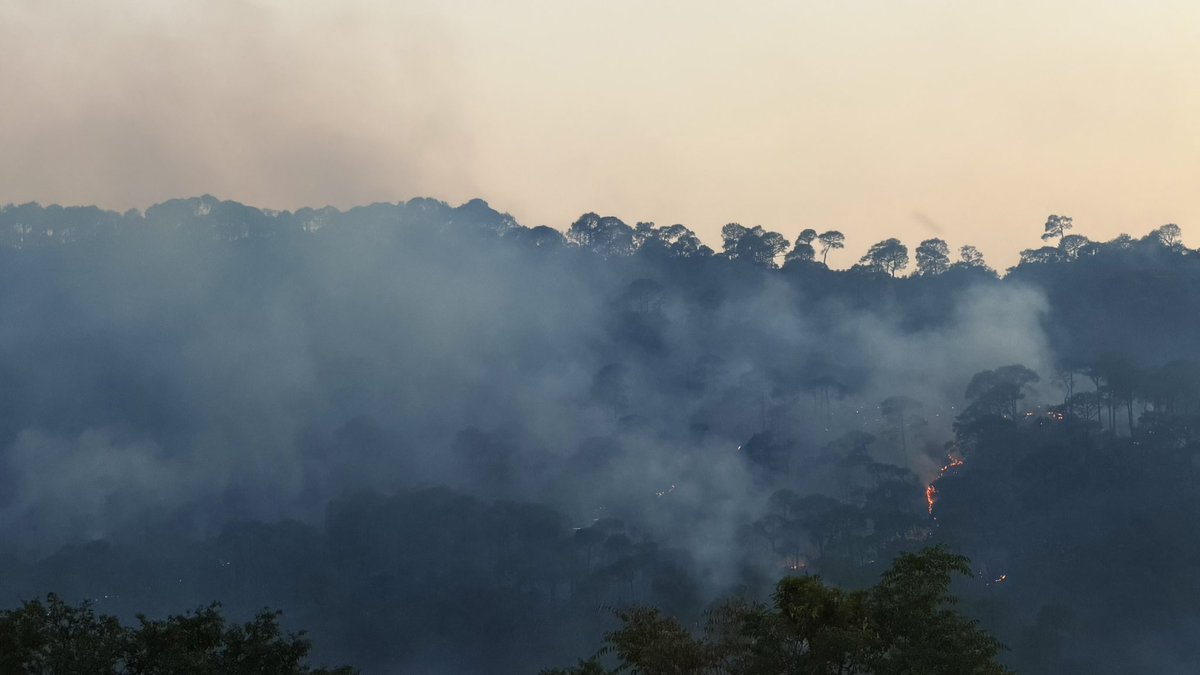 kumarthinks_'s tweet photo. #Wildfire at 7:31 PM (26 May 2026)

@moefcc @CMOFFICEHP #forestfire #himachalpradesh #gopalpur #palampur https://t.co/0fyI4I4Zt7