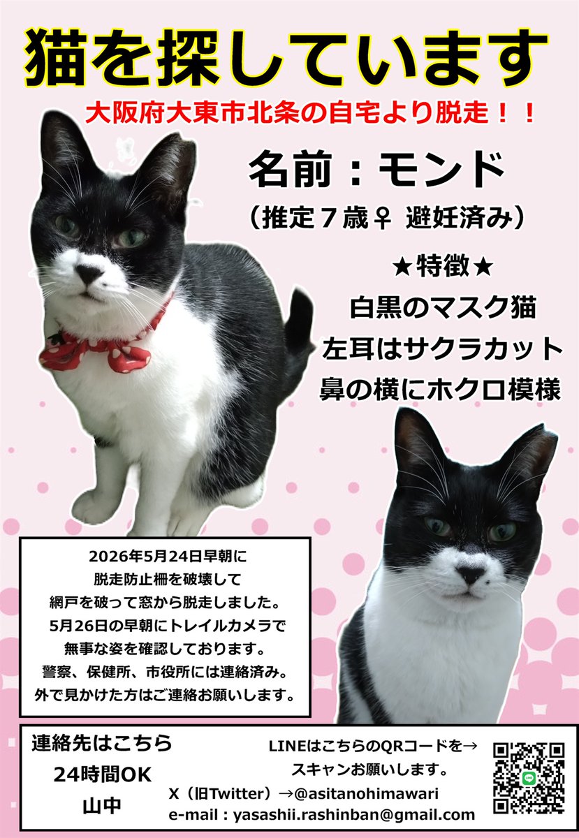 あしたのひまわり tweet media