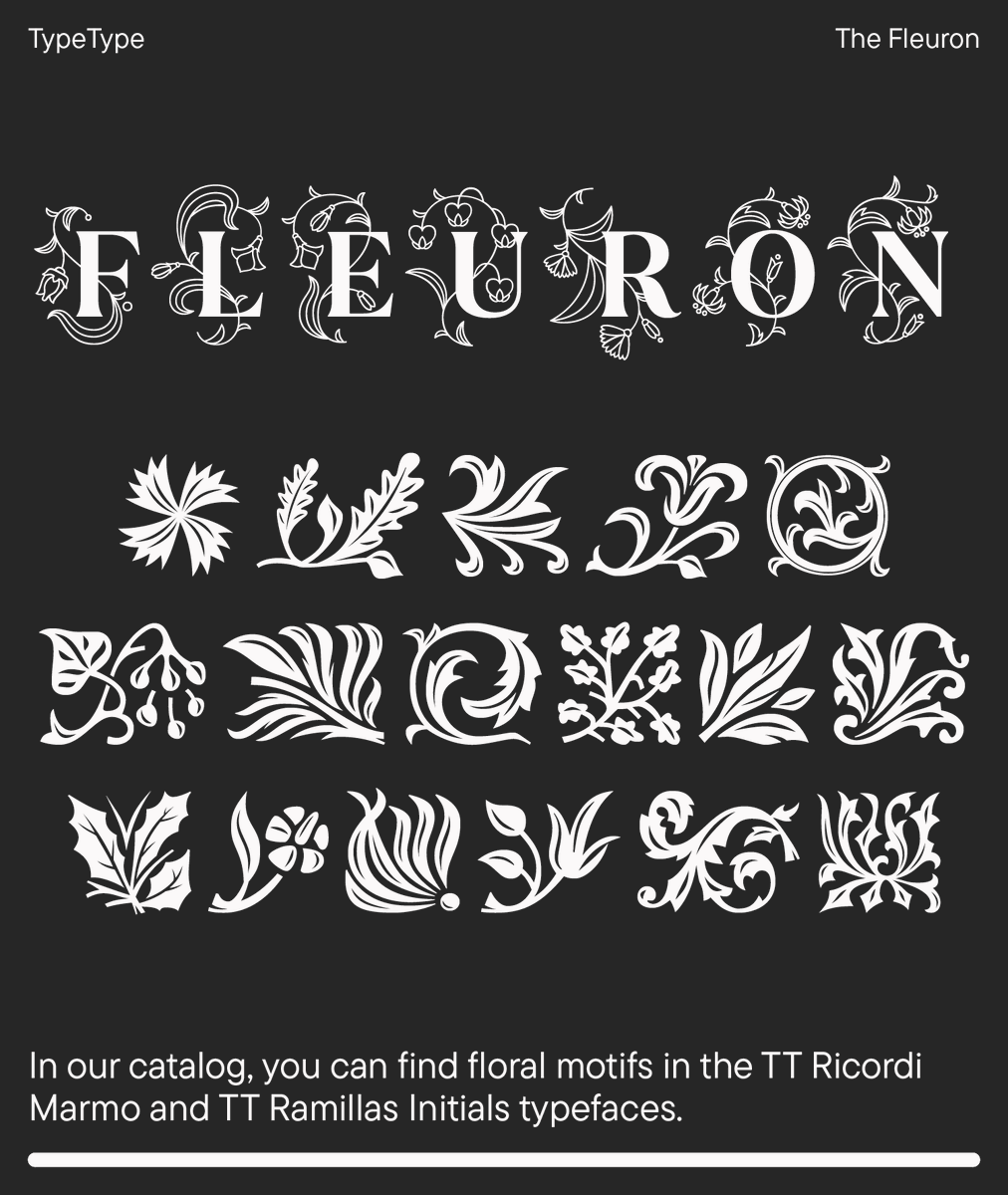 TypeType Foundry tweet media