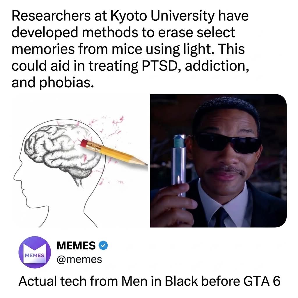 Dinosaurtoothbrush tweet media