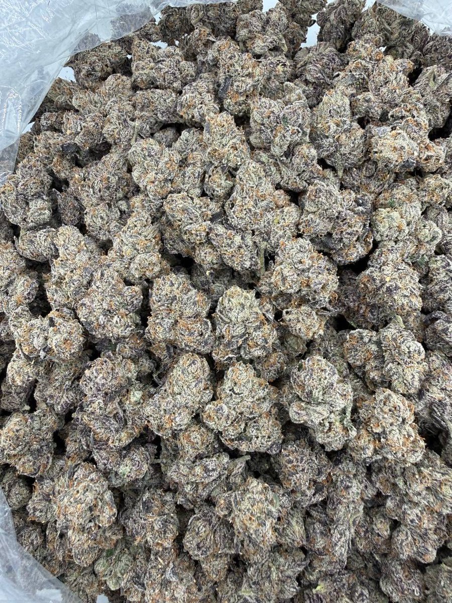 famosin_30's tweet photo. Sunny Delight indoor ZAZA premium cannabis flower straight pressure exotic
& Candy weed flavors loud gas packs
#review #exoticweed #candyweed https://t.co/5SrGte2DRc