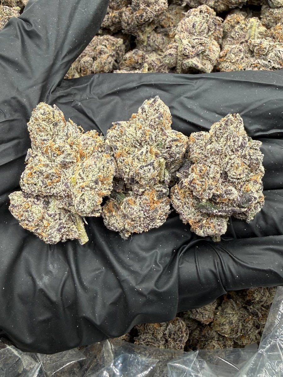 famosin_30's tweet photo. Sunny Delight indoor ZAZA premium cannabis flower straight pressure exotic
& Candy weed flavors loud gas packs
#review #exoticweed #candyweed https://t.co/5SrGte2DRc