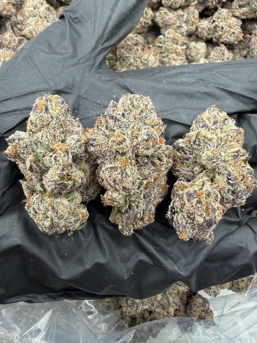 famosin_30's tweet photo. Jalisco Runtz premium indoor weed packs
Exotic & Candy weed strains super boof
Bottled nutz permanent marker rs 11 Za
Blue Andez red velvet Gary strains kush
#review #exoticweed #candyweed https://t.co/DSl0jM49Fx