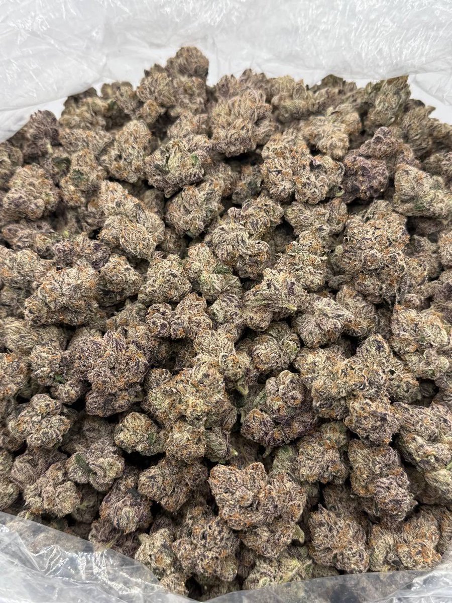 famosin_30's tweet photo. Jalisco Runtz premium indoor weed packs
Exotic & Candy weed strains super boof
Bottled nutz permanent marker rs 11 Za
Blue Andez red velvet Gary strains kush
#review #exoticweed #candyweed https://t.co/DSl0jM49Fx