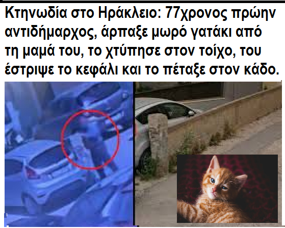 Terez tweet media