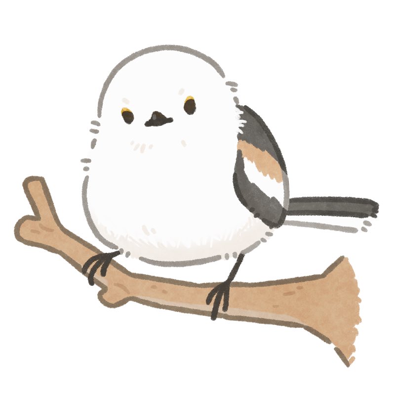 ずふぇる tweet media