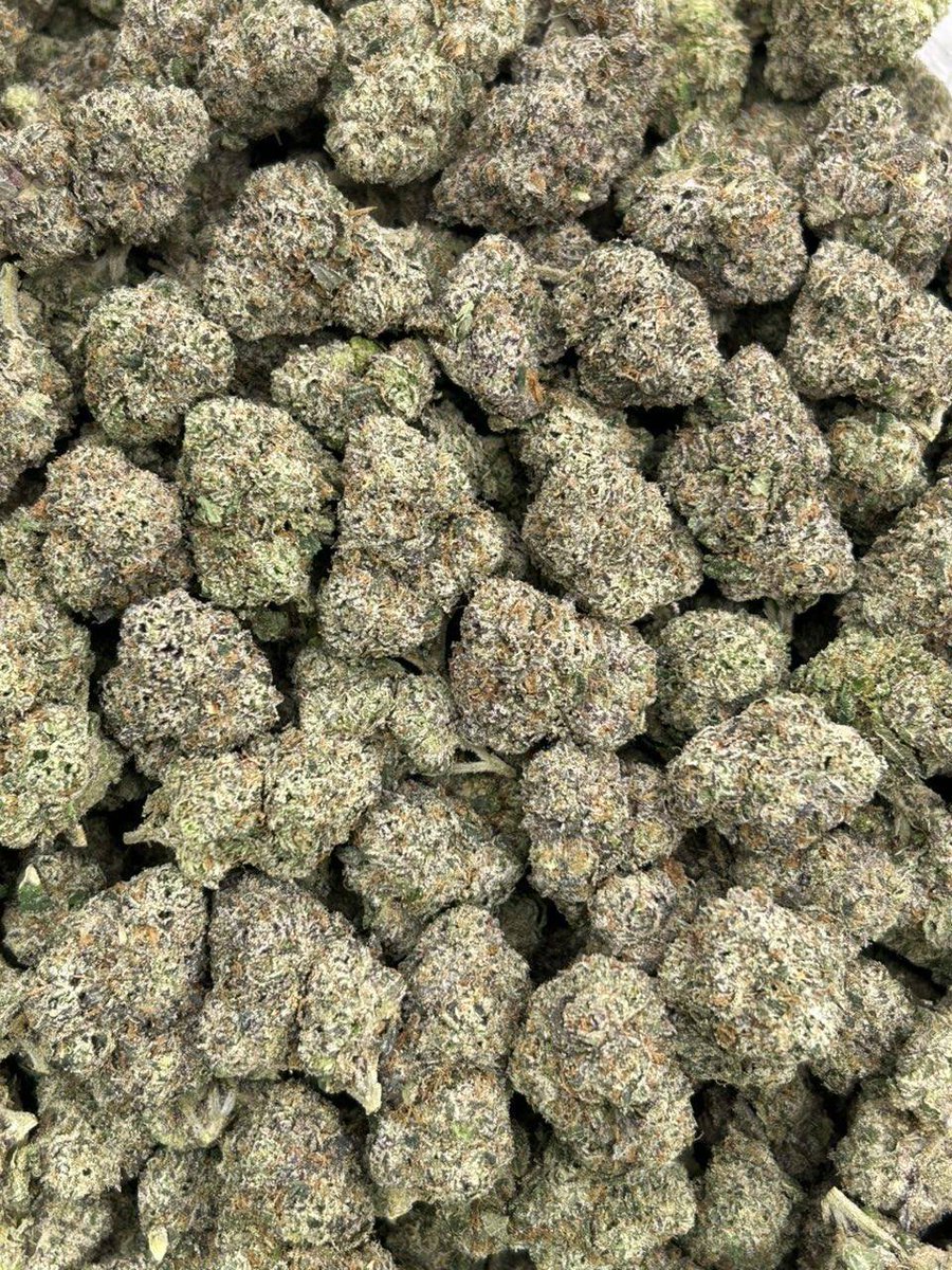 walesbud's tweet photo. Weed Newport, Cardiff, Swansea, Wrexham, Carmarthen, Aberystwyth, Bangor, St Asaph, Llandudno, Llandrindod Wells, Rhyl, Prestatyn, Colwyn Bay, Penarth, Barry, Caerphilly, Pontypridd, Aberdare, Merthyr Tydfil, Pontyclun, Treforest,Taffs Well, Penarth Heights, Grangetown, Butetown. https://t.co/DrNGBOxTzj