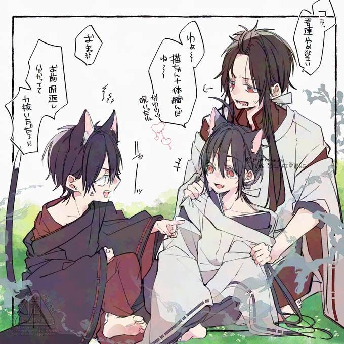 猫ちゃん
🐦と🈵と⭐️ 