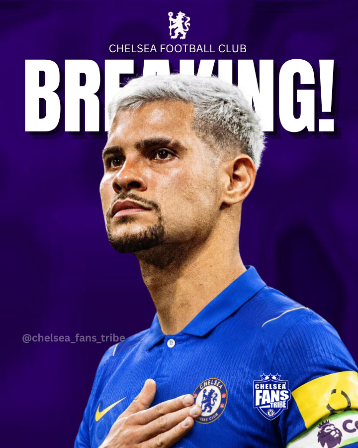 Chelsea Fans Tribe tweet media