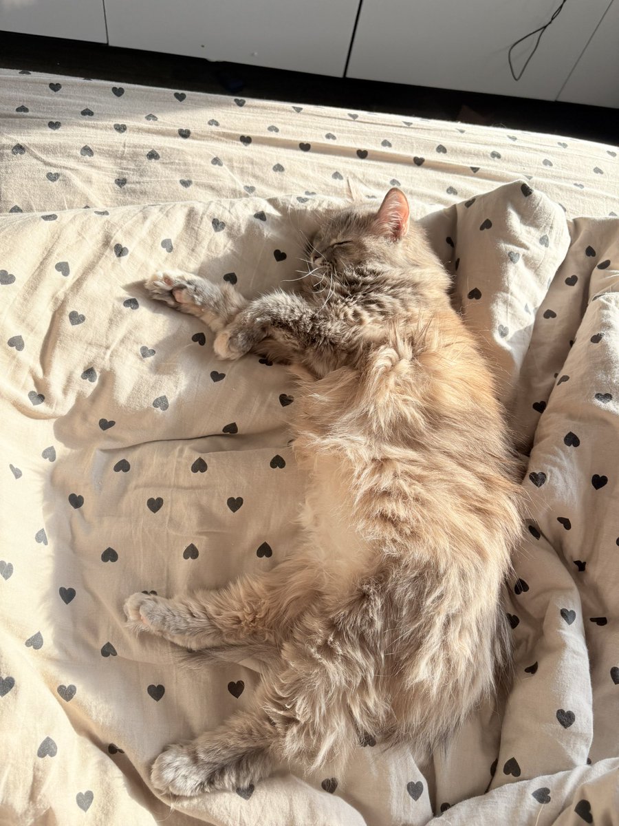 sam_carter9's tweet photo. солнечная сюся https://t.co/5lPhk73OiA