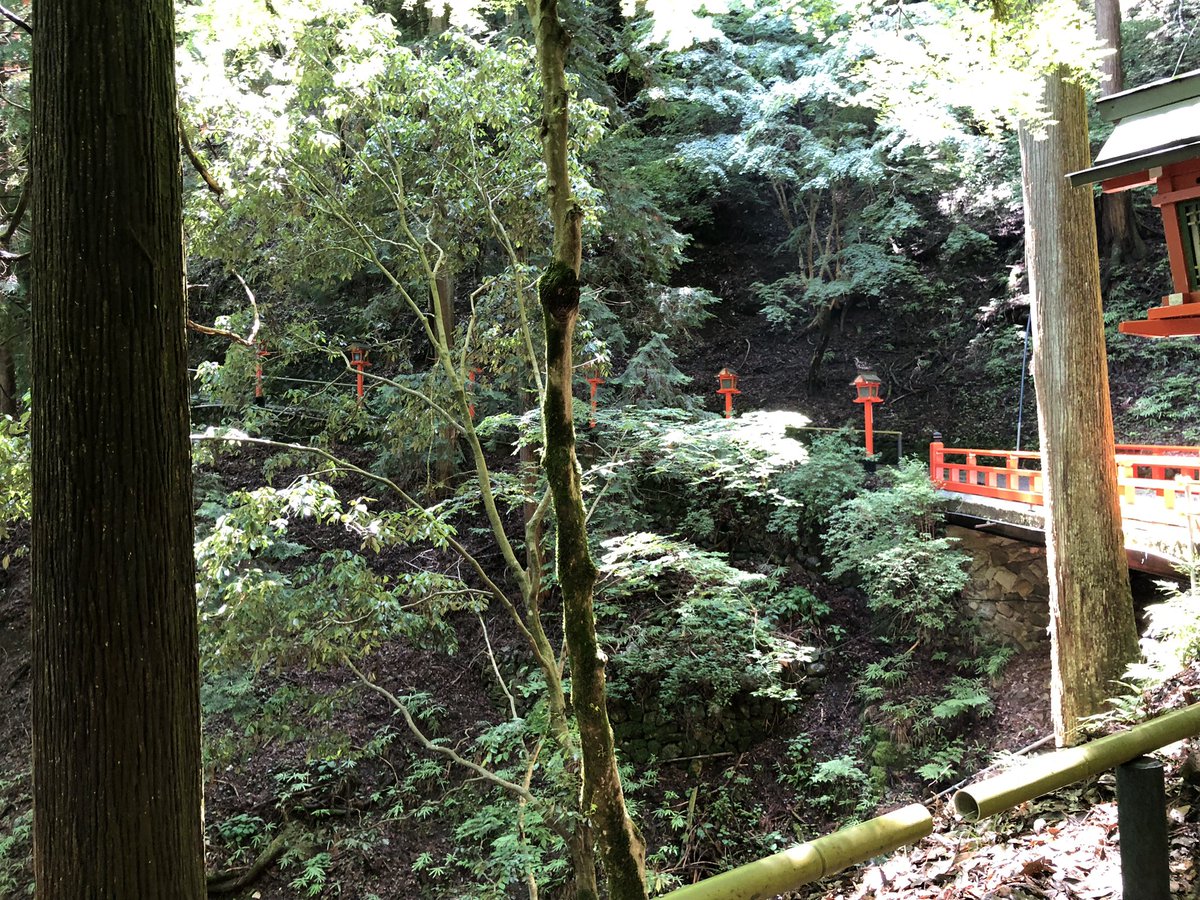 voxy741101's tweet photo. 先週、社員旅行で関西に行ってきました😊

地方はスタグフレーションが進んでいますが、何とか費用を捻出し、今年も社員旅行を行う事が出来ました🙇‍♂️

で、新潟から同乗した添乗員さんと関西のバスガイドさんから、ガチ感想&質問がありました。
↓
↓
「新卒採用が難しい中、若手が多いのにビックリしました😶」

「若手社員が社員旅行に行かない企業が多いのに、何で若手社員の参加者が多いのですか？」

「何で、バスガイドの会話に反応する若手が多いのですか？」

「何で、役職・男女関係なく距離が近いのですか？」
との、等々の質問を受けました😅

「個人では出来ない事を、お互いが助け合い成功させ、サステナブルな会社を社員全員で作り上げる」が会社の方針なので、、

それを皆さんか忠実に実行しているだけなのですが。。

関西でも『異端』と思われてるらしい笑😅

（写真は、#鞍馬寺 本堂までの道のりです）

#越後天然ガス