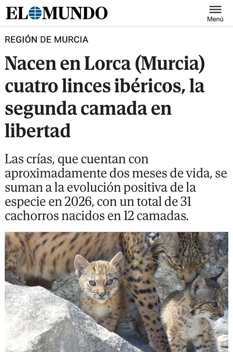 Partido Popular Lorca tweet media