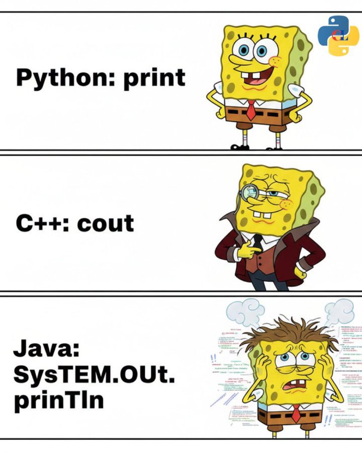 Python Daily tweet media
