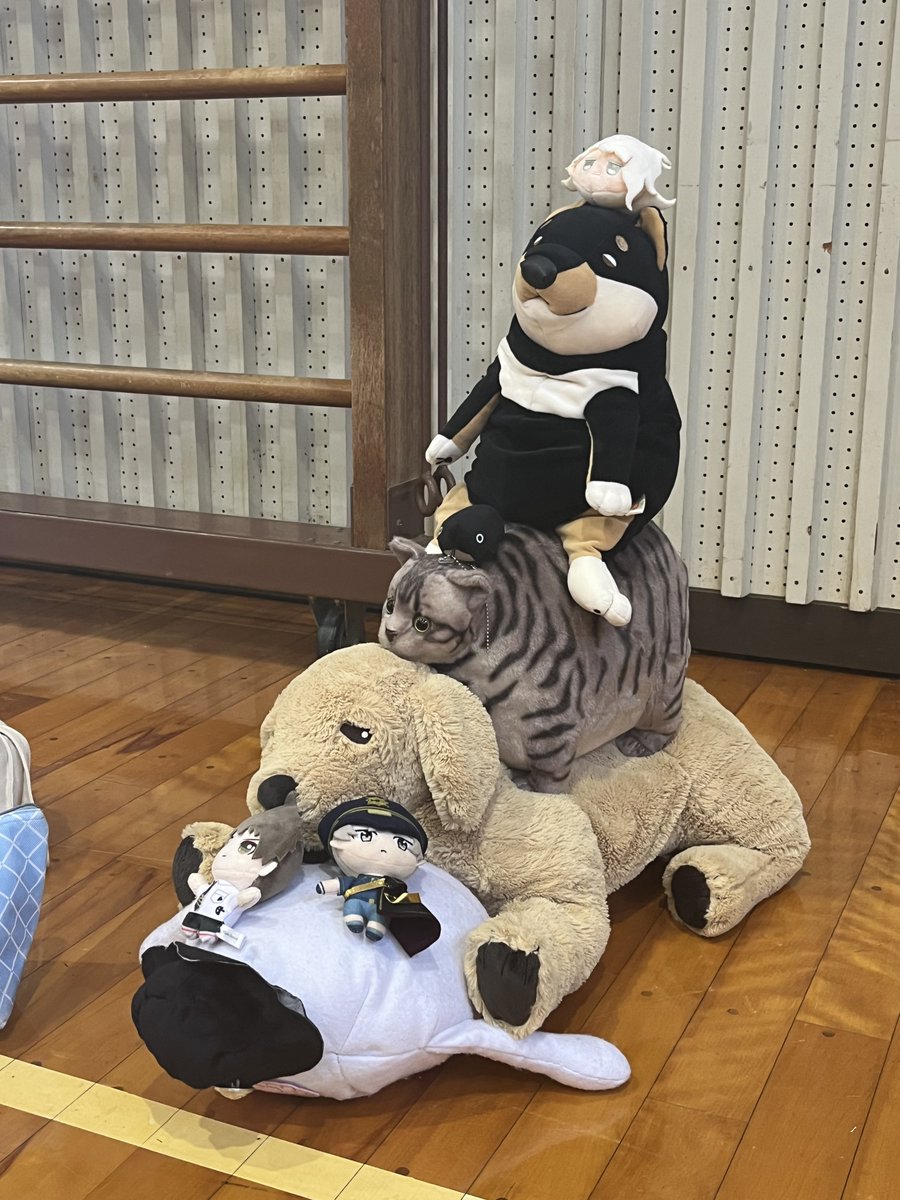 esnui_'s tweet photo. #エスぬい旅 https://t.co/taoq9pgt2l
