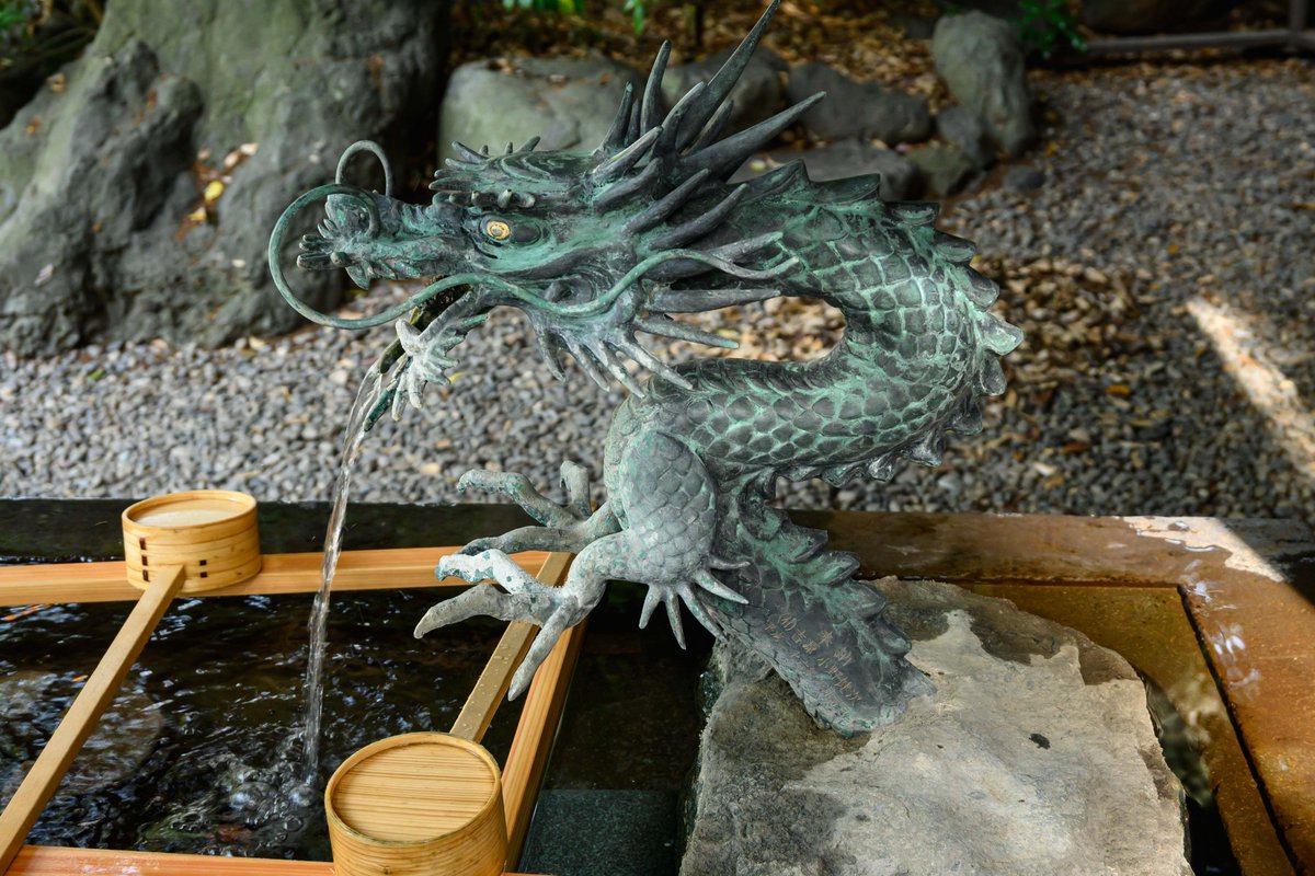 watabop's tweet photo. 先日川越をのんびりと散策
やっぱり川越といえば氷川神社は外せません
武蔵一宮
印象に残ったのは、楼門前手水舎の龍と鯛のおみくじ
＃氷川神社　＃川越　＃武蔵一宮 https://t.co/qioWoSPoBZ