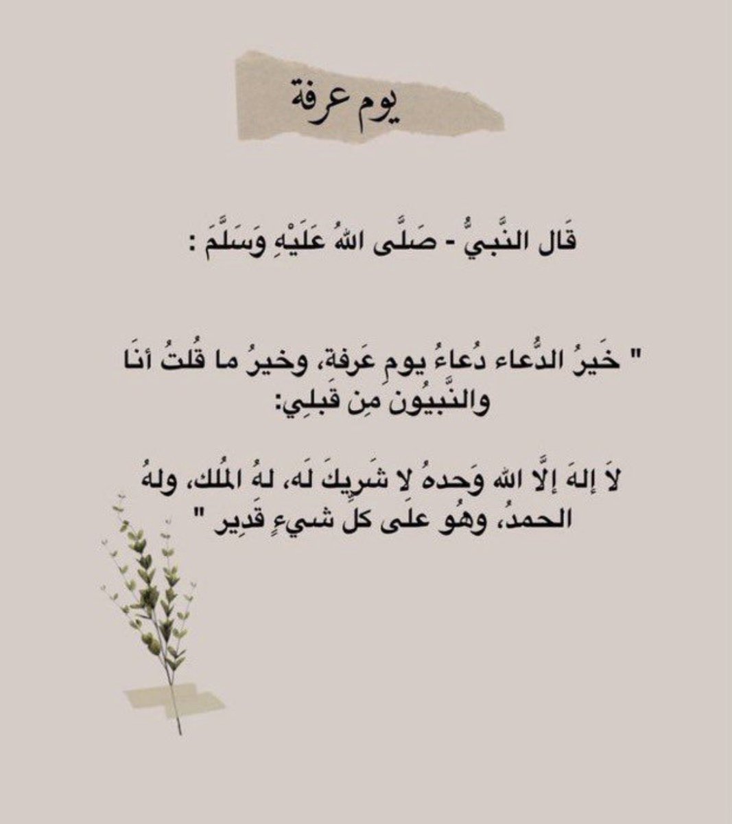 MAltalohi's tweet photo. #عرفة
#حج_1447هـ https://t.co/GG9nZ3s00n