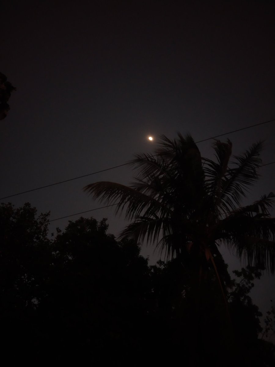 Pyari_ladki00's tweet photo. मेरा चाँद....! https://t.co/Fw4iq8OcjF