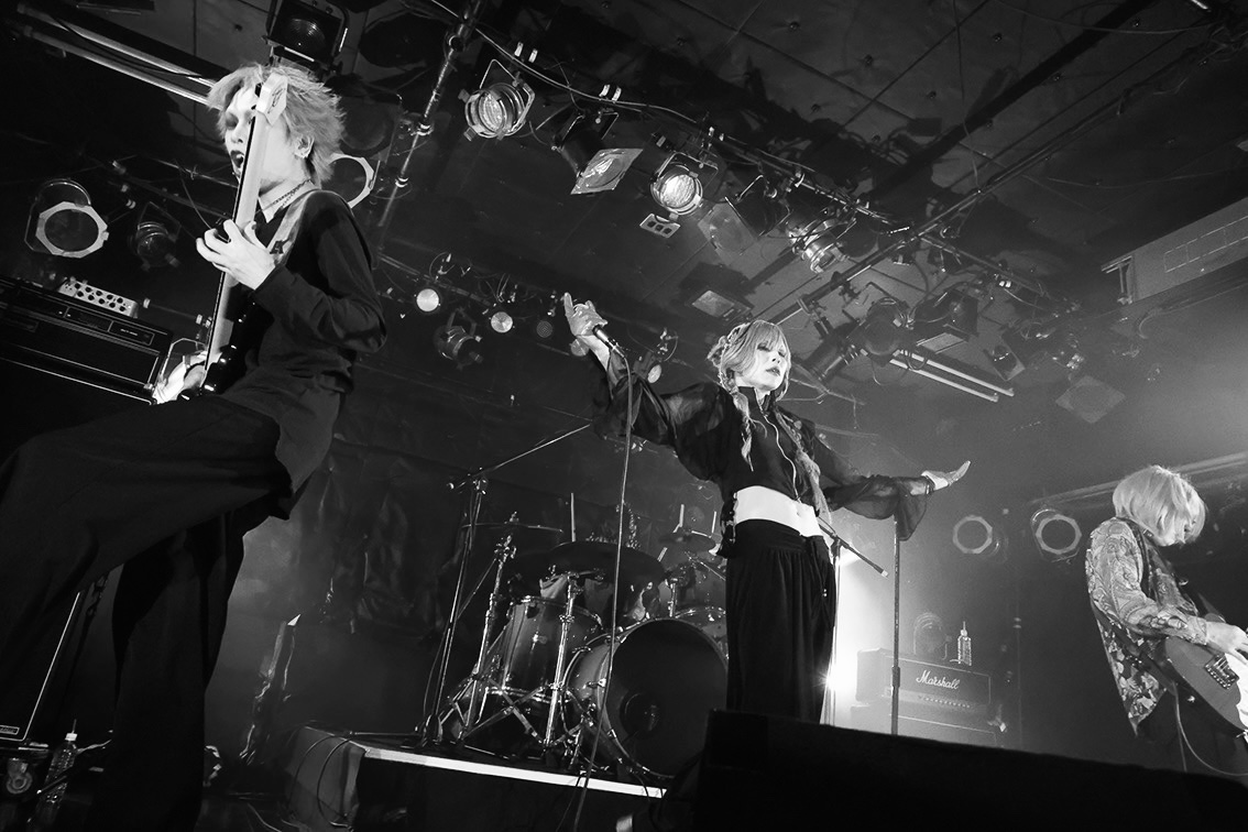 ๅค-yoru- official tweet media