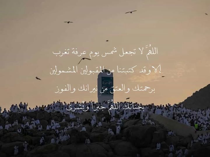 سين( نينجا شويو ) tweet media