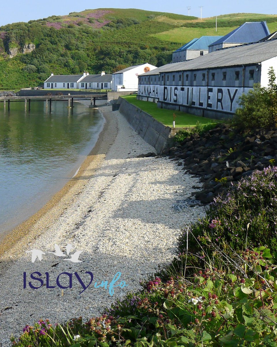 isleofislay's tweet photo. Step into the wild beauty of Islay this summer, remember:
📸 Take nothing but pictures
👣 Leave nothing but footprints
⏳ Kill nothing but time
#VisitIslay #WalkingIslay #ExploreScotland #WalkingHoliday https://t.co/zXQsJVbO0d