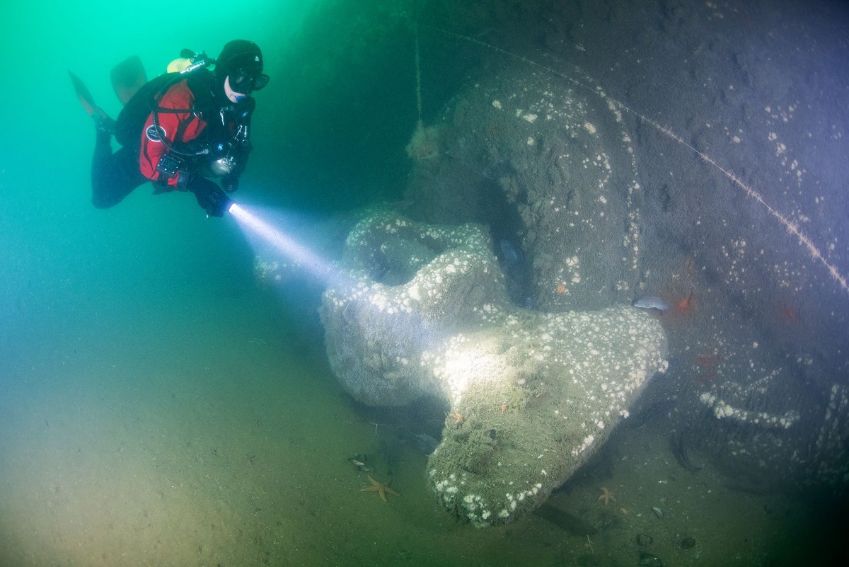 bualumni's tweet photo. Jennifer Sellitti (COM’96) turned a passion for deep-sea wreck diving into a mission to uncover forgotten maritime history. Her latest work, dedicated to her late partner Joe Mazraani, traces a long-lost French steamship. 

Read more ➡️ https://t.co/RF3Fh2WtPE https://t.co/1SjrK4jlQx