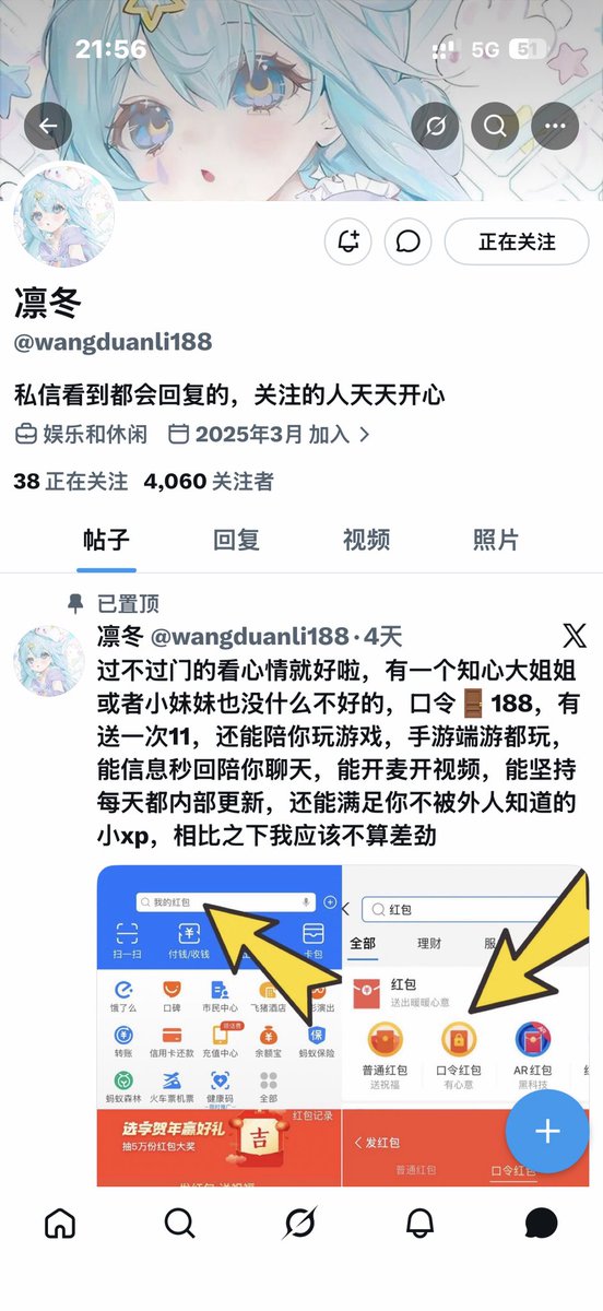 绿豆包 tweet media