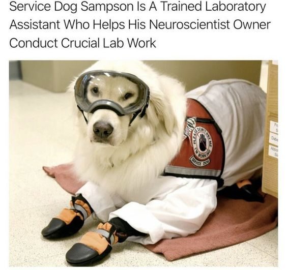 WholesomeMemes tweet media