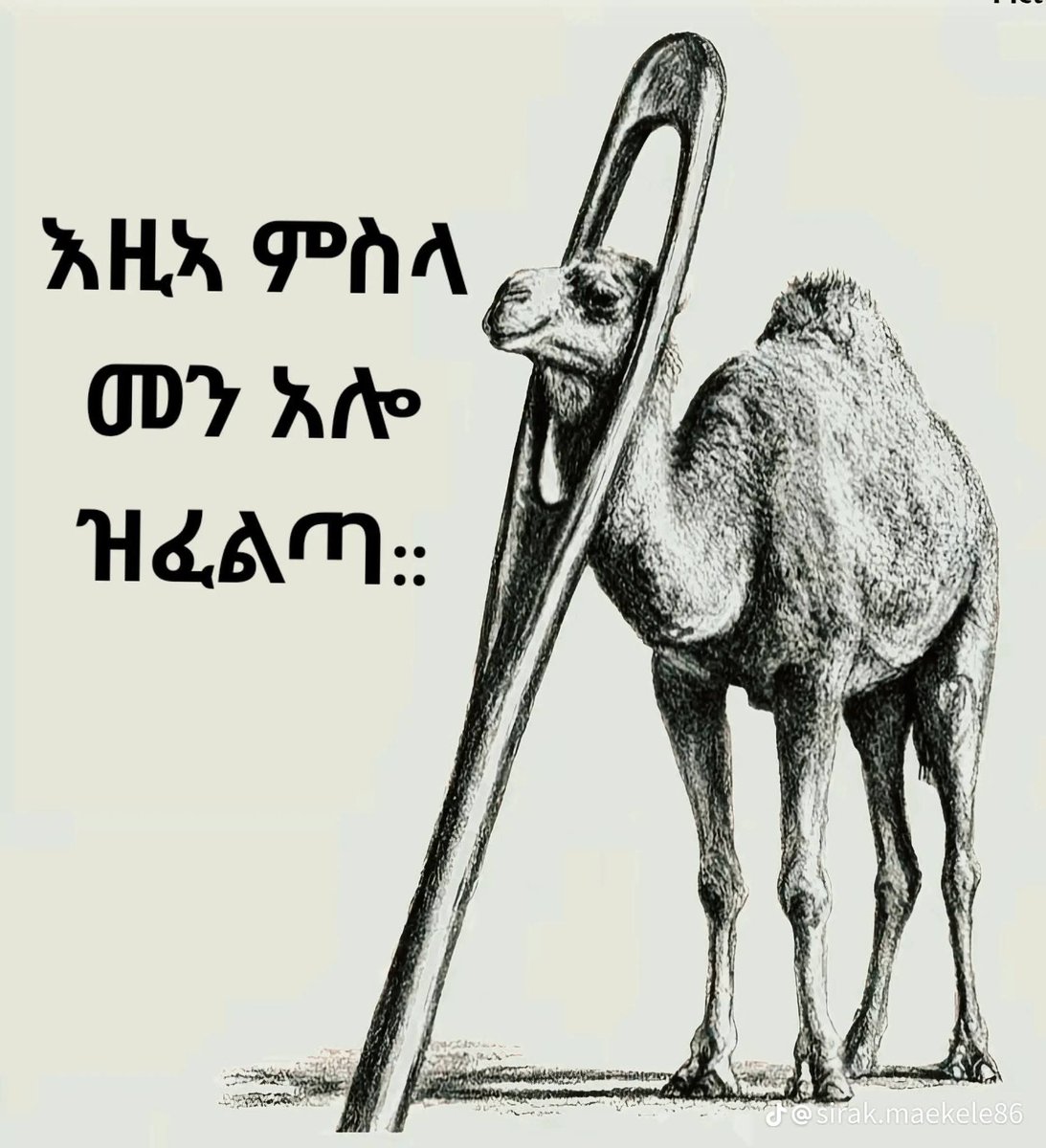Iskinder Berhane tweet media