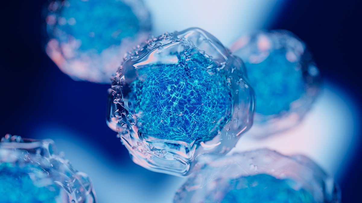 BioPharmIntl's tweet photo. Can 3D neural microtissues redefine cell therapy for Parkinson’s? @treefrogtx unveils new preclinical data on TFG-001’s dopamine release and reinnervation. Learn more: https://t.co/nO6N0aSY9r

#Parkinsons #CellTherapy #RegenerativeMedicine https://t.co/mVjYYUTFde