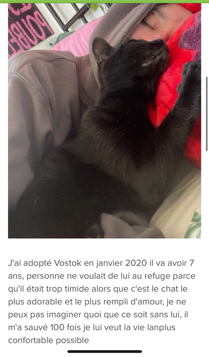 styxlust's tweet photo. J’ai jamais fait avant mais cette fois j’ai fait une cagnotte pour mon chat d’amour 

https://t.co/cs4SViSlpr

Je vous en supplie aidez moi à savoir vivre avec ce nouveau truc qui déjà mentalement me bouffe https://t.co/zfH9hID3Pa