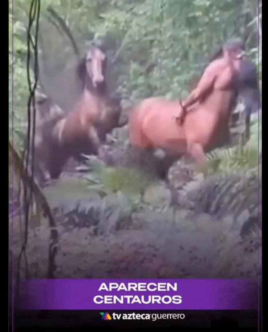Poncho Gutiérrez tweet media
